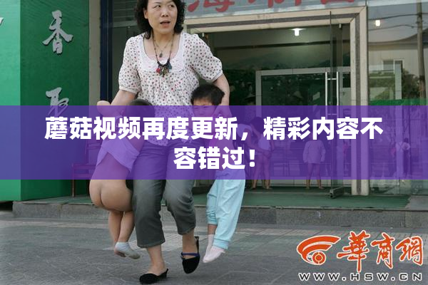 蘑菇视频再度更新，精彩内容不容错过！