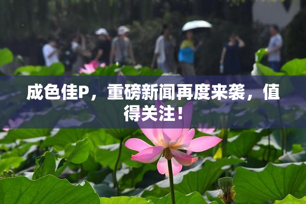 成色佳P，重磅新闻再度来袭，值得关注！
