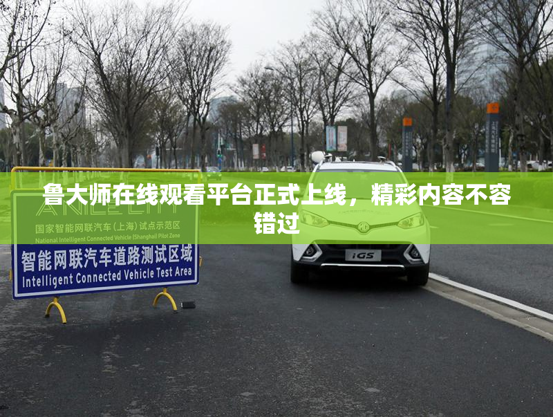 鲁大师在线观看平台正式上线，精彩内容不容错过