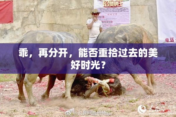 乖，再分开，能否重拾过去的美好时光？