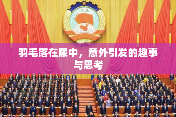 羽毛落在尿中，意外引发的趣事与思考