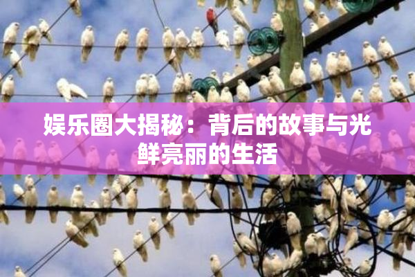 娱乐圈大揭秘：背后的故事与光鲜亮丽的生活