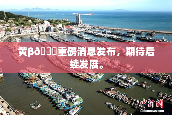 黄β🔞重磅消息发布，期待后续发展。