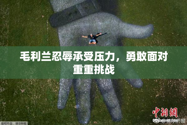 毛利兰忍辱承受压力，勇敢面对重重挑战