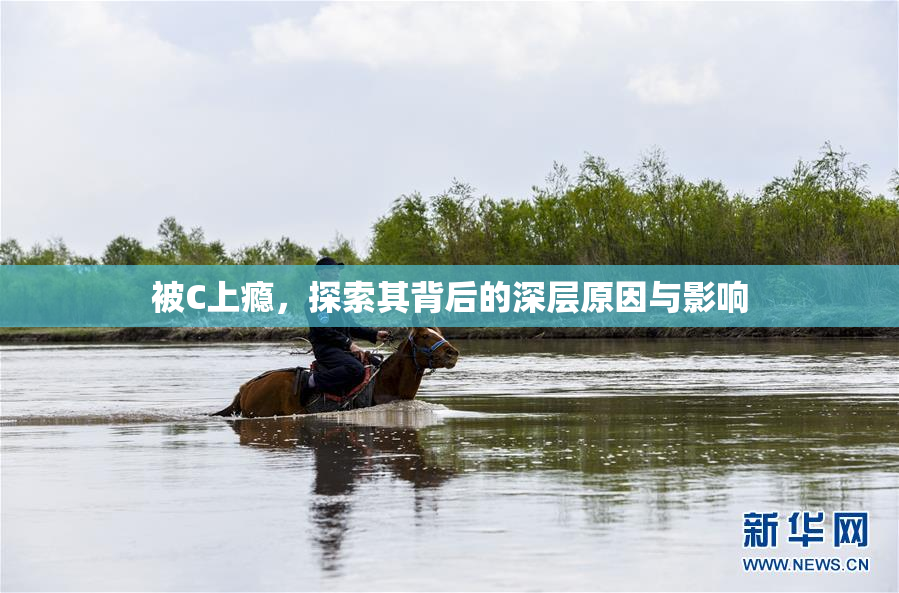 被C上瘾，探索其背后的深层原因与影响