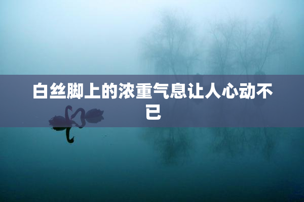 白丝脚上的浓重气息让人心动不已