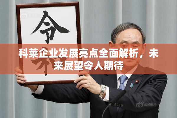 科莱企业发展亮点全面解析，未来展望令人期待