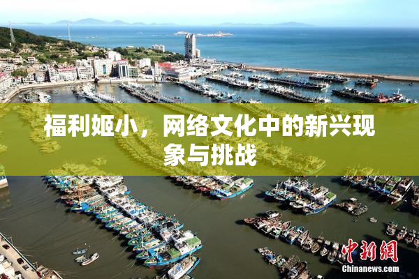 福利姬小，网络文化中的新兴现象与挑战