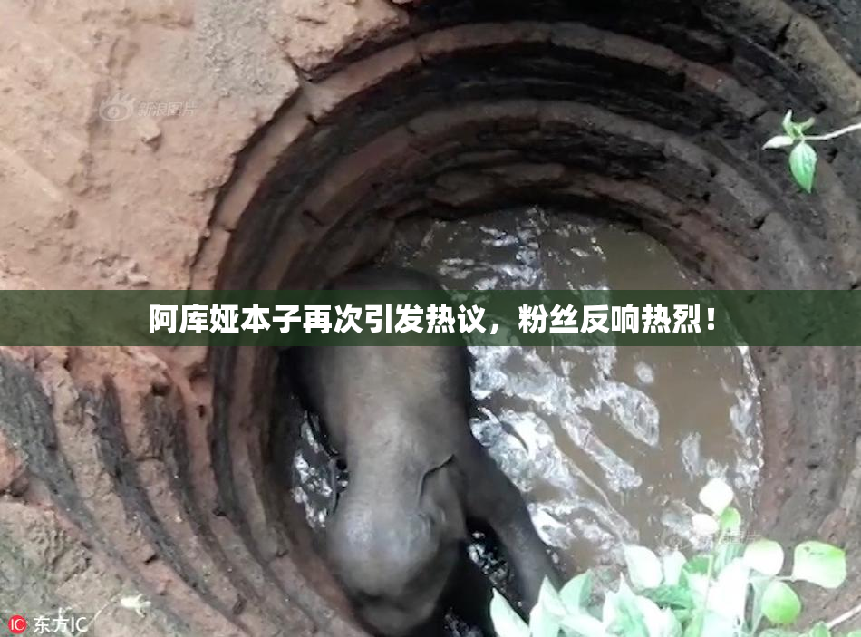 阿库娅本子再次引发热议，粉丝反响热烈！