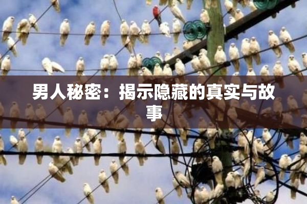 男人秘密：揭示隐藏的真实与故事