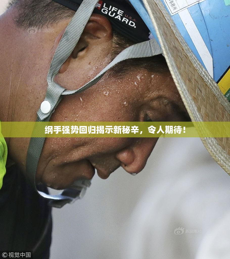 纲手强势回归揭示新秘辛，令人期待！