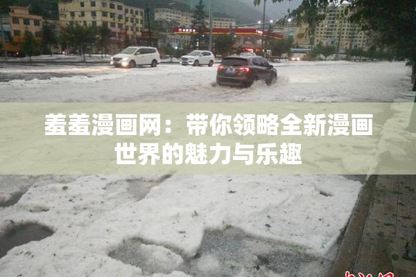 羞羞漫画网：带你领略全新漫画世界的魅力与乐趣