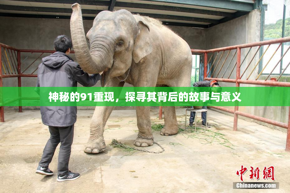 神秘的91重现，探寻其背后的故事与意义