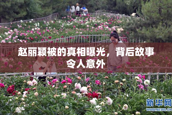 赵丽颖被的真相曝光，背后故事令人意外