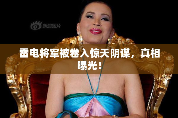 雷电将军被卷入惊天阴谋，真相曝光！