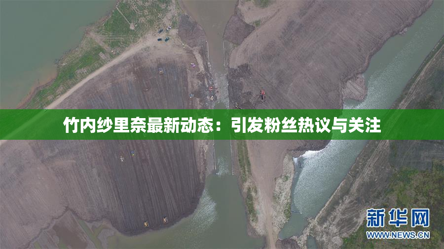 竹内纱里奈最新动态：引发粉丝热议与关注