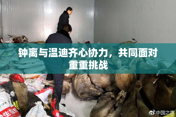 钟离与温迪齐心协力，共同面对重重挑战