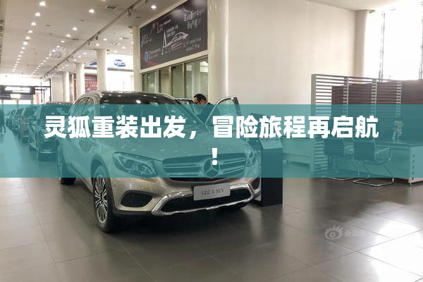 灵狐重装出发，冒险旅程再启航！