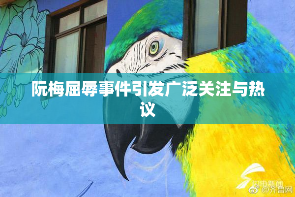 阮梅屈辱事件引发广泛关注与热议