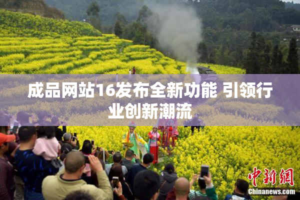成品网站16发布全新功能 引领行业创新潮流