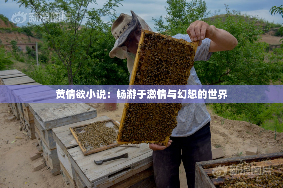 黄情欲小说：畅游于激情与幻想的世界