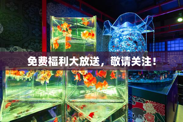 免费福利大放送，敬请关注！