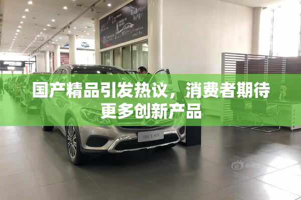 国产精品引发热议，消费者期待更多创新产品
