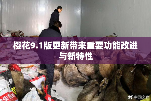 樱花9.1版更新带来重要功能改进与新特性