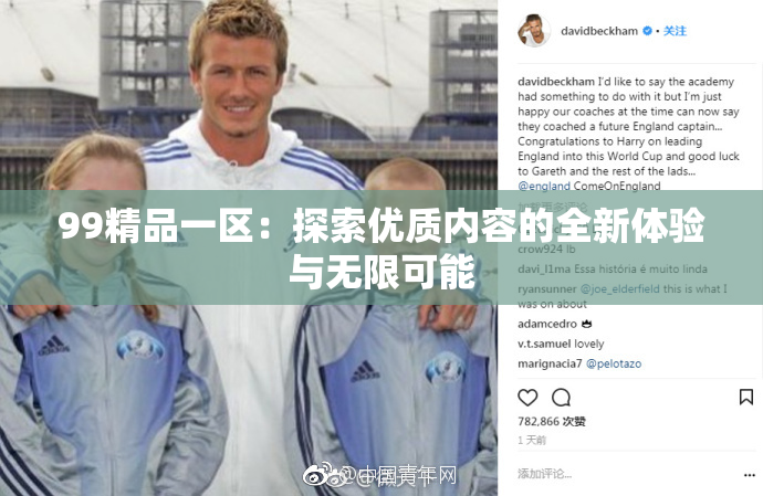 99精品一区：探索优质内容的全新体验与无限可能