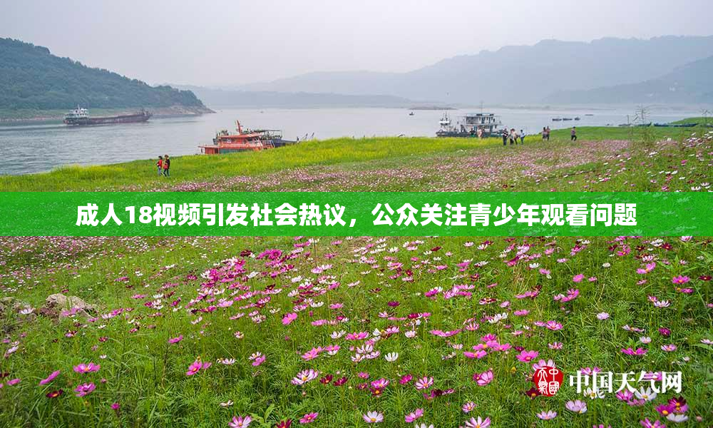 成人18视频引发社会热议，公众关注青少年观看问题