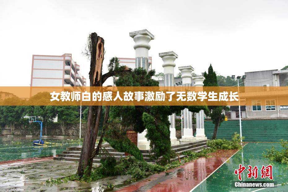 女教师白的感人故事激励了无数学生成长