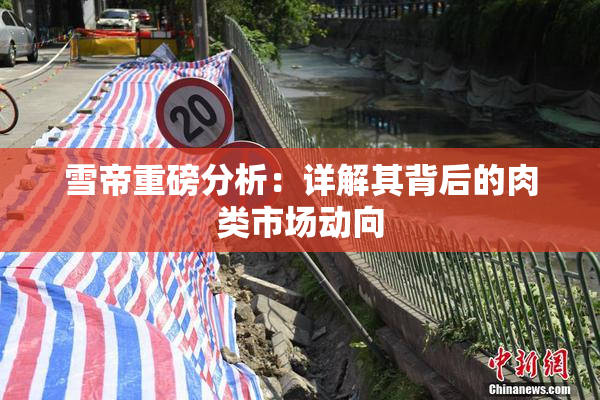 雪帝重磅分析：详解其背后的肉类市场动向