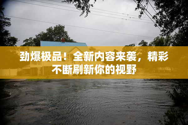 劲爆极品！全新内容来袭，精彩不断刷新你的视野