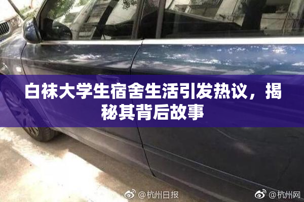 白袜大学生宿舍生活引发热议，揭秘其背后故事