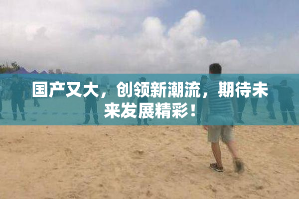 国产又大，创领新潮流，期待未来发展精彩！