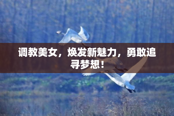 调教美女，焕发新魅力，勇敢追寻梦想！