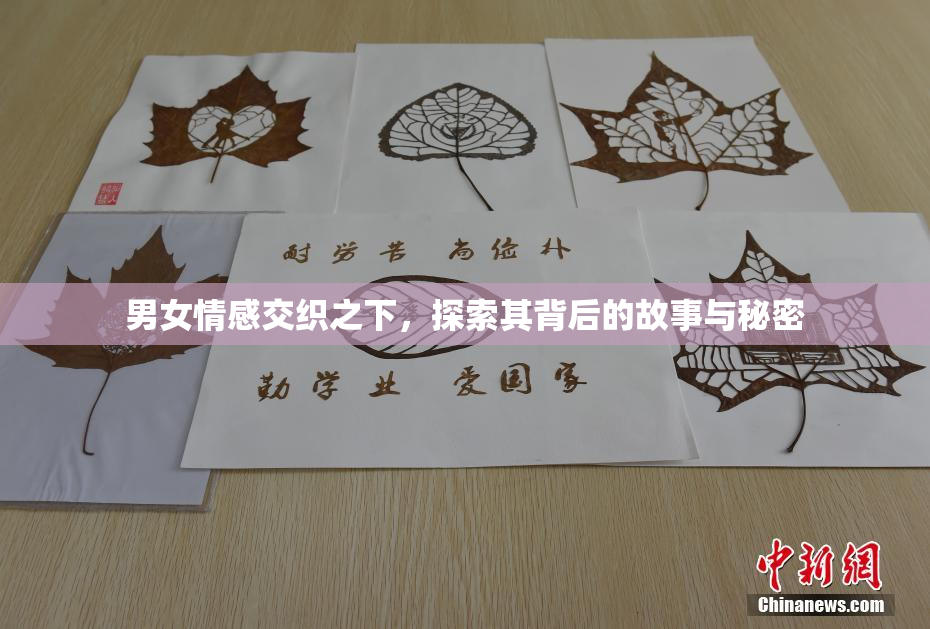 男女情感交织之下，探索其背后的故事与秘密