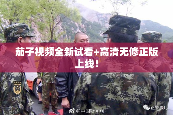 茄子视频全新试看+高清无修正版上线！