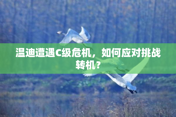 温迪遭遇C级危机，如何应对挑战转机？