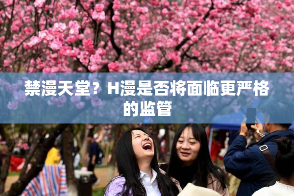 禁漫天堂？H漫是否将面临更严格的监管