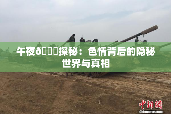 午夜🈚探秘：色情背后的隐秘世界与真相