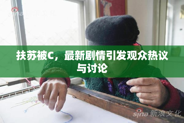 扶苏被C，最新剧情引发观众热议与讨论