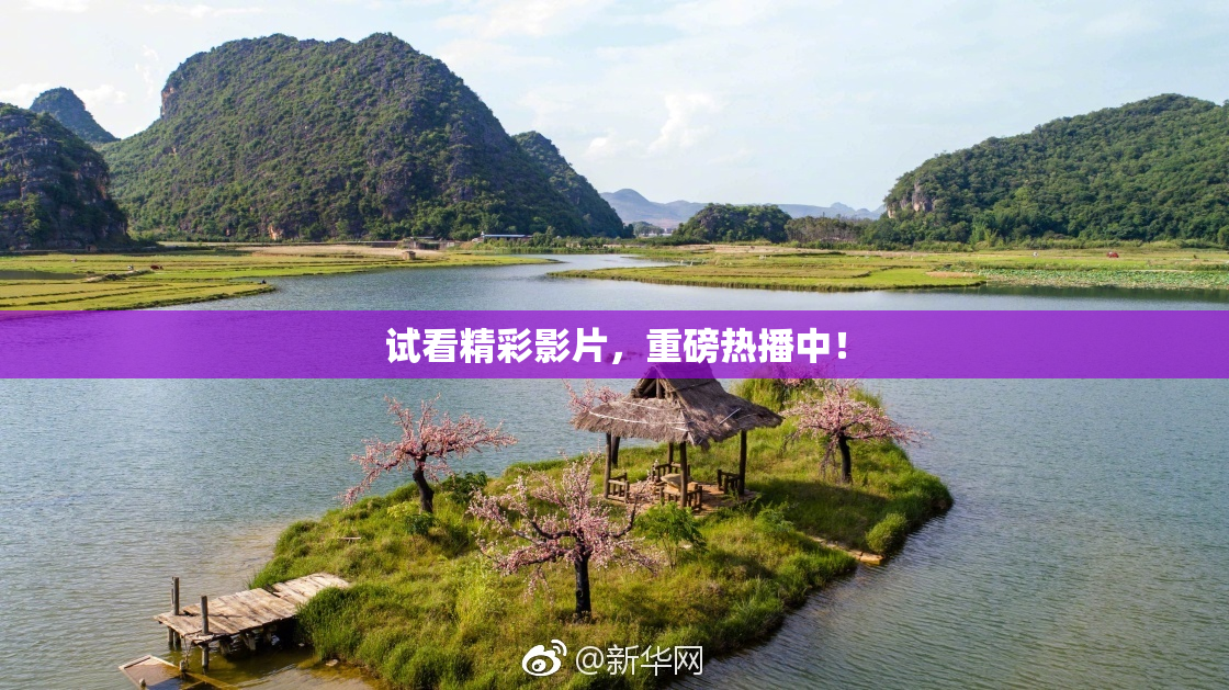 试看精彩影片，重磅热播中！