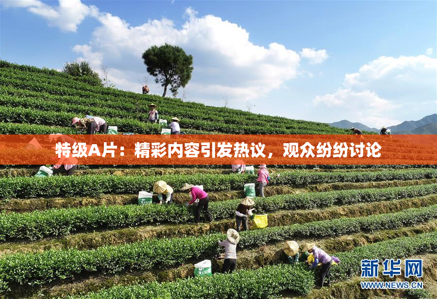 特级A片：精彩内容引发热议，观众纷纷讨论