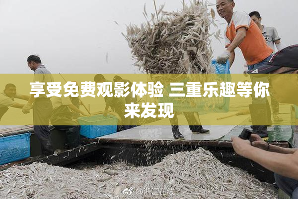 享受免费观影体验 三重乐趣等你来发现