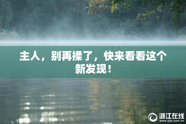 主人，别再揉了，快来看看这个新发现！