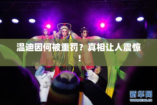 温迪因何被重罚？真相让人震惊！