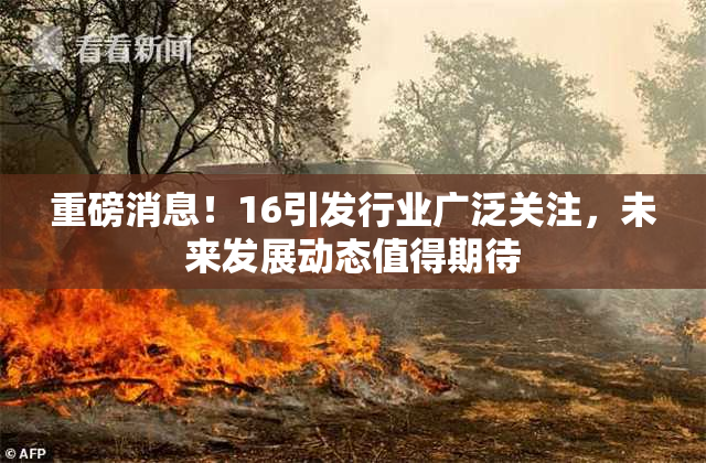 重磅消息！16引发行业广泛关注，未来发展动态值得期待