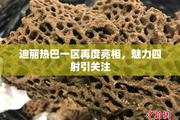 迪丽热巴一区再度亮相，魅力四射引关注