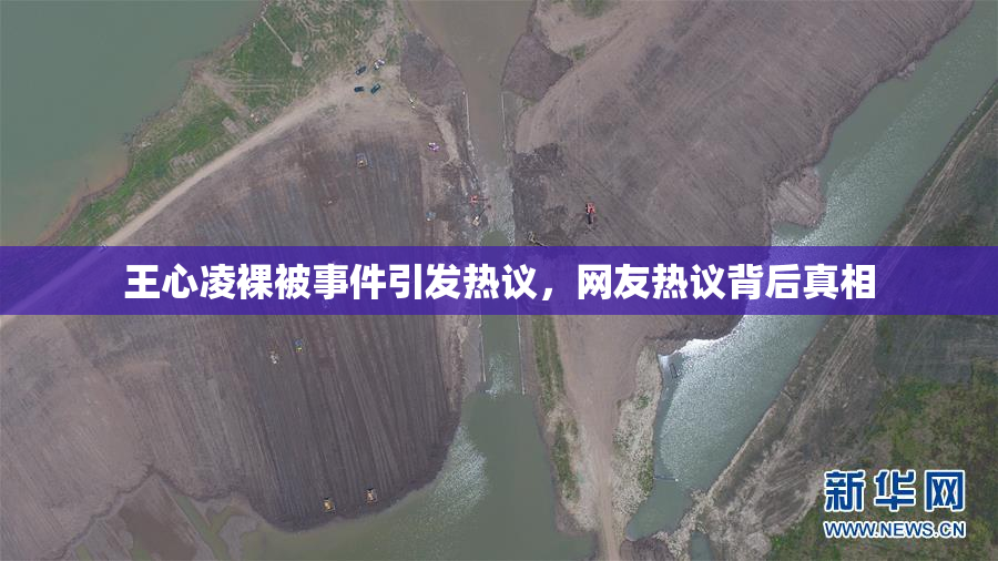王心凌裸被事件引发热议，网友热议背后真相